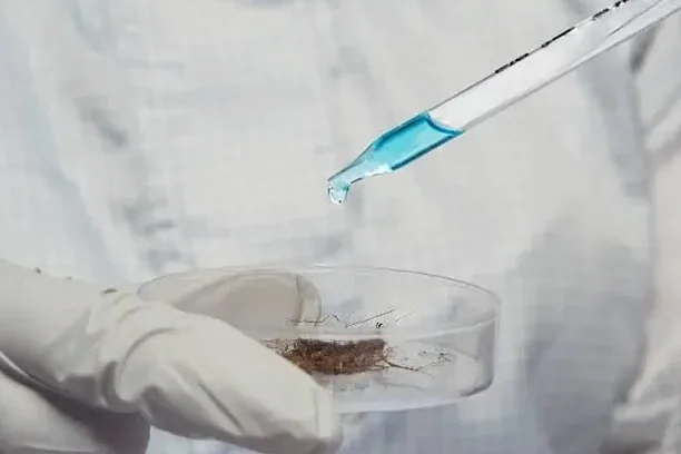 Illustrative image of Undisturbed sampling (Shelby tube) in Bundaberg